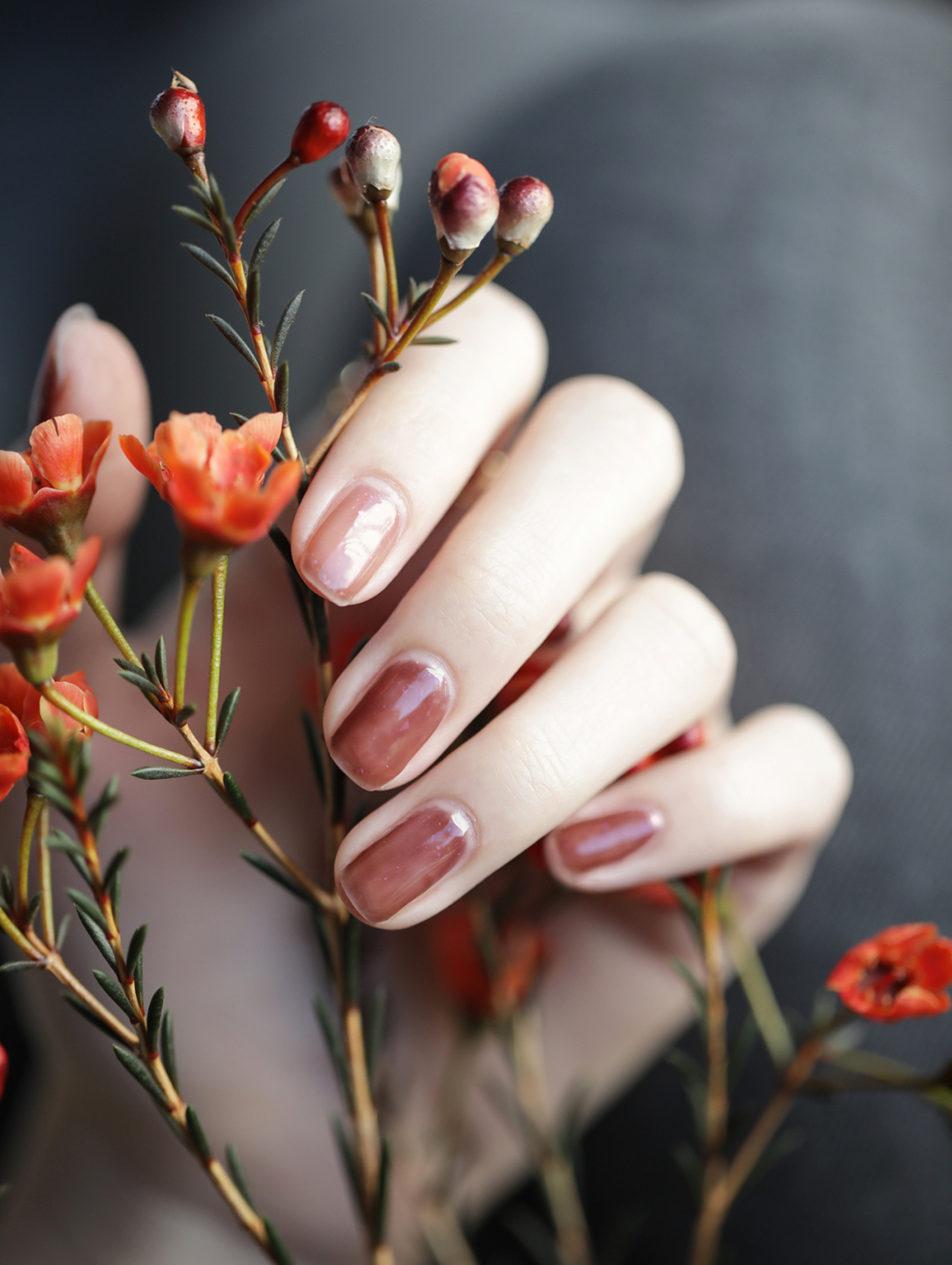 Nude Simple Oval Nails shown as a nail art design with nude, elegant, simple, oval and medium details.
