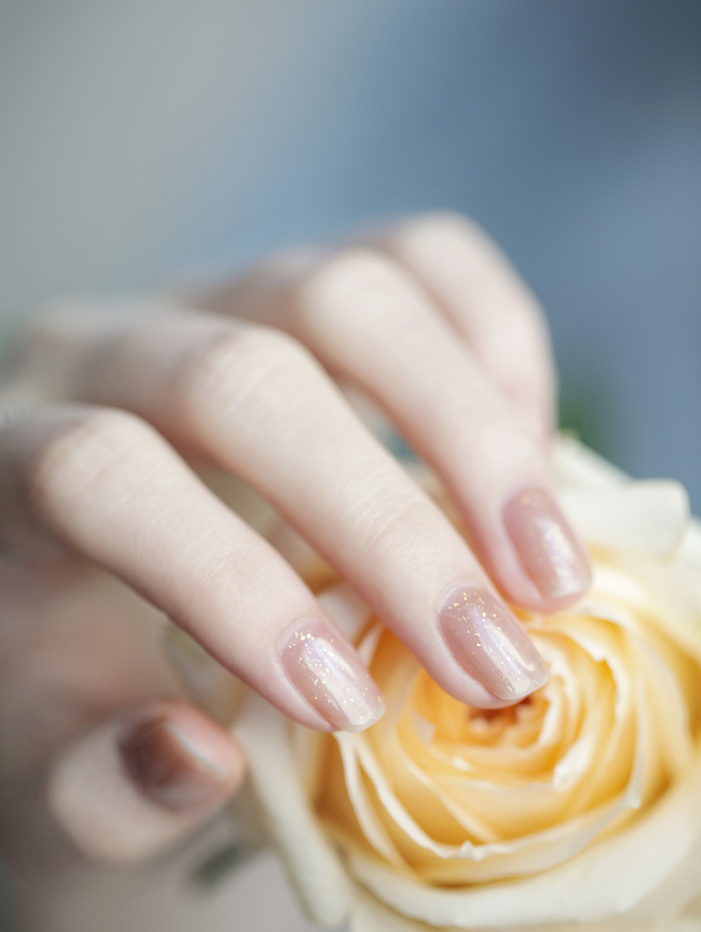 Nude Glitter Oval Nails shown as a nail art design with nude, elegant, glitter, oval and medium details.
