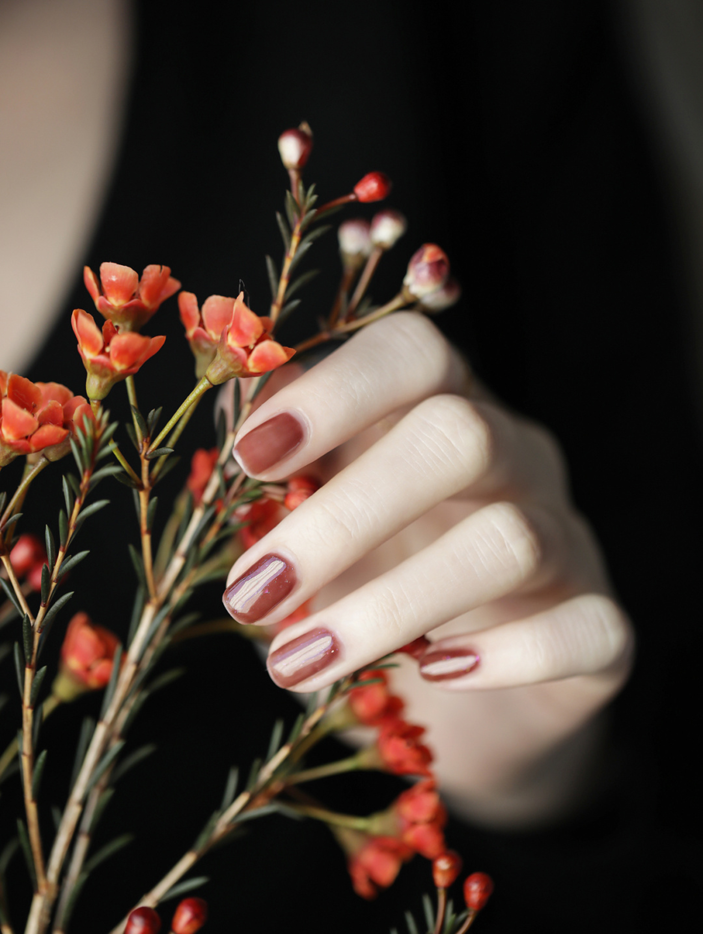 Burgundy Simple Square Nails shown as a nail art design with burgundy, simple, square and medium details.