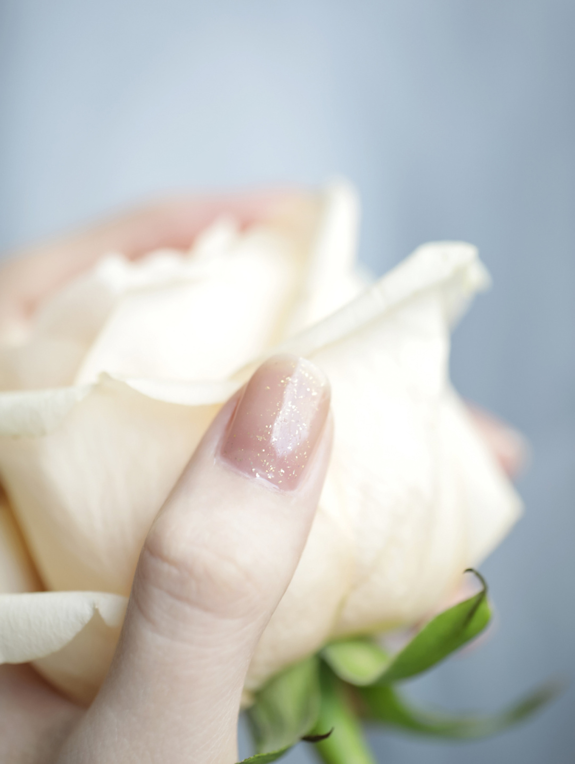 Nude Glitter Short Nails shown as a nail art design with nude, simple, glitter and short details.